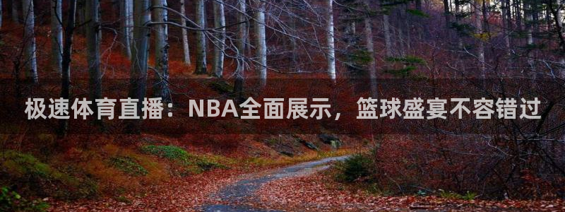 极速体育直播：NBA全面展示，篮球盛宴不容错过