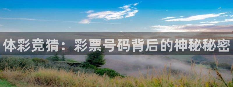 体彩竞猜：彩票号码背后的神秘秘密