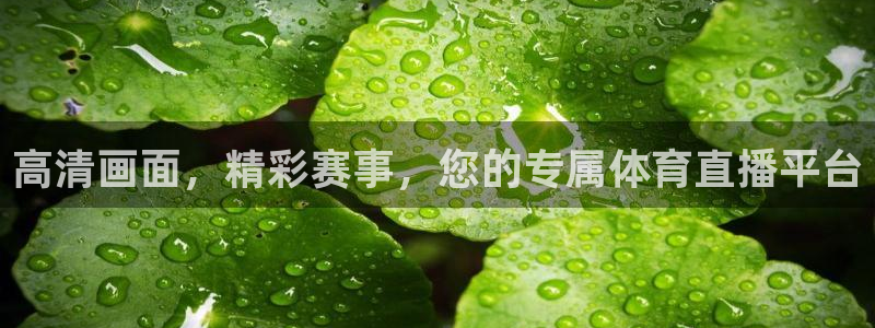 高清画面，精彩赛事，您的专属体育直播平台