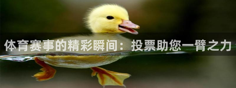 体育赛事的精彩瞬间：投票助您一臂之力