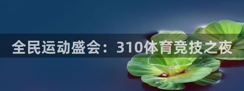 全民运动盛会：310体育竞技之夜