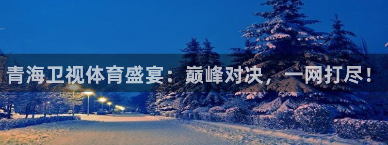 青海卫视体育盛宴：巅峰对决，一网打尽！