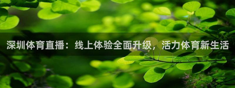 深圳体育直播：线上体验全面升级，活力体育新生活