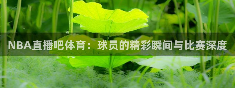 NBA直播吧体育：球员的精彩瞬间与比赛深度