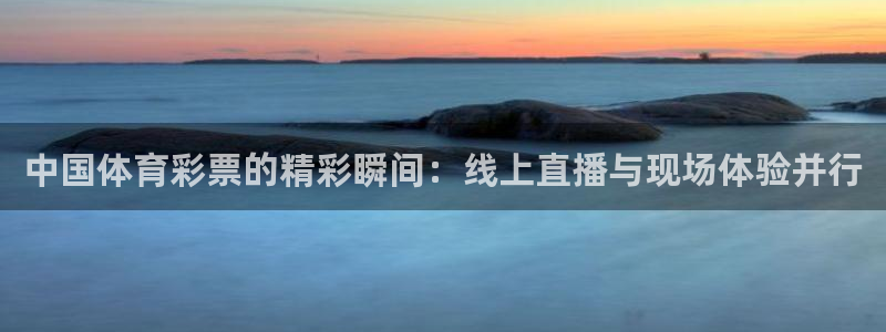 中国体育彩票的精彩瞬间：线上直播与现场体验并行