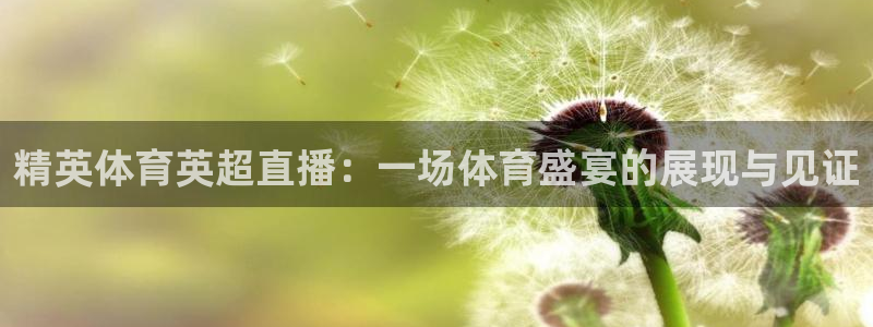 精英体育英超直播：一场体育盛宴的展现与见证