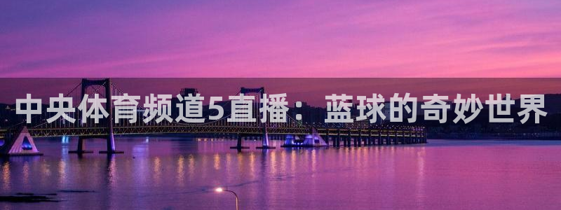 中央体育频道5直播：蓝球的奇妙世界