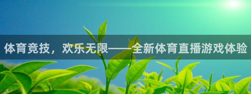 体育竞技，欢乐无限——全新体育直播游戏体验