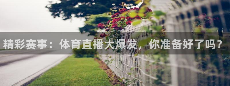 精彩赛事：体育直播大爆发，你准备好了吗？