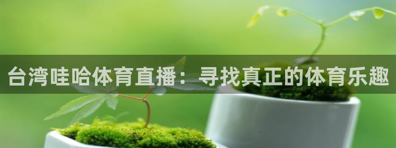 台湾哇哈体育直播：寻找真正的体育乐趣