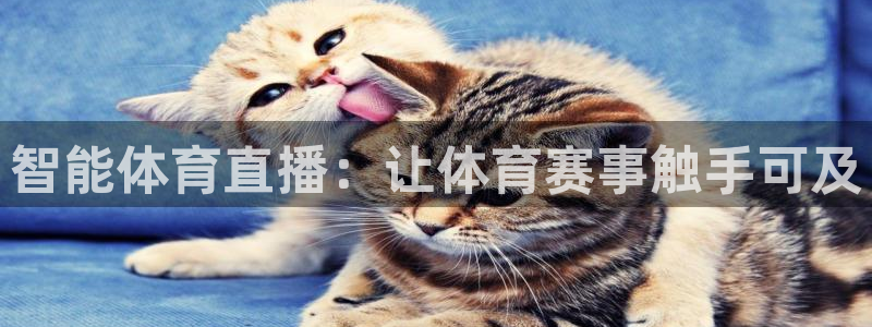智能体育直播：让体育赛事触手可及