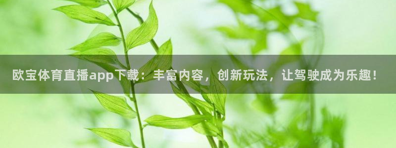 欧宝体育直播app下载：丰富内容，创新玩法，让驾驶成为乐趣！